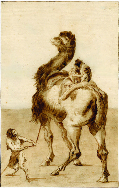 Monkeys and dromedary